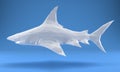 SHARK LOW POLY POLYGONAL, TRIANGLE , Predatory fish on white background, business concept,3D rendering Royalty Free Stock Photo