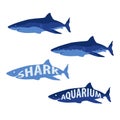 Shark Marine Life Aquarium Vector for App and Website