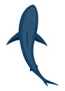 Shark. Marine predator fish character. Underwater wildlife or ocean animal. Cartoon flat isolated icon on white Royalty Free Stock Photo