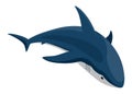 Shark. Marine predator fish character. Underwater wildlife or ocean animal. Cartoon flat isolated icon on white Royalty Free Stock Photo