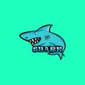 Shark mascot logo. Shark logo