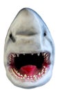 Shark, model of a head