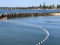 shark net at Tuncurry.