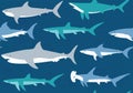 Shark Ocean Seamless Vector Pattern