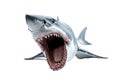 Shark with open jaws isolated on transparent background Royalty Free Stock Photo