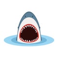 Shark with open mouth Royalty Free Stock Photo