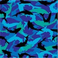 Shark pattern Royalty Free Stock Photo