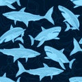 Shark pattern. Nautical ocean sea scare big fish animal tropical seamless background