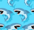 Shark pattern seamless. Sea predator background. Large predatory marine fish ornament. vector texture