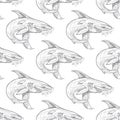 Shark pattern on white background Royalty Free Stock Photo