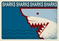 Shark poster.Vector background illustration for design