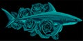 shark with rose flower on black background Royalty Free Stock Photo