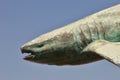 Shark sculpture on background of blue sky Royalty Free Stock Photo