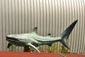 Shark sculpture Royalty Free Stock Photo