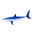 Shark, sea fish isolated on white, vector illustration. Underwater ocean animal, wild cartoon nature in water. Predator Royalty Free Stock Photo
