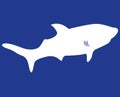 Shark silhouette Royalty Free Stock Photo