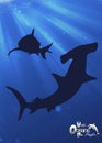 shark silhouette, can be used for background and symbols in posters or campaigns