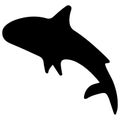 Shark Fish Black Silhouette Illustration Isolated on White Background. Royalty Free Stock Photo