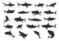 Shark silhouette, Shark silhouettes, Shark icon set, Shark clipart, Shark vector illustration Royalty Free Stock Photo