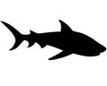 Shark Silhouette - vector template for a logo or badge. Outline. Vector animal - shark Royalty Free Stock Photo