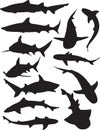 Shark Silhouettes