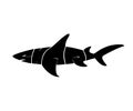 Shark Silhoutte Typography Royalty Free Stock Photo