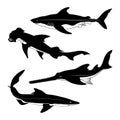 Shark species silhouettes. Spurdog, Hammerhead, Sawfish, Dogfish.