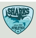 Shark sport emblem