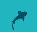 Shark swim in the water, top view. Vector illustration Royalty Free Stock Photo