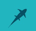 Shark swim in the water, top view. Vector illustration Royalty Free Stock Photo