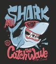 Shark t-shirt surf print design, vector illustration Royalty Free Stock Photo