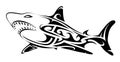 Tribal art shark tattoo