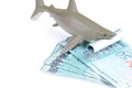 Shark toy and money Royalty Free Stock Photo