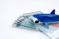 Shark toy and money Royalty Free Stock Photo