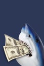 Shark with 100 USD in mouth. Royalty Free Stock Photo