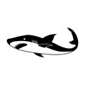 Shark vector icon.Black vector icon isolated on white background shark. Royalty Free Stock Photo