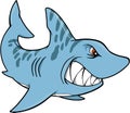 Shark Vector Illustration