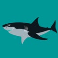 Shark vector illustration ,flat style ,profile Royalty Free Stock Photo