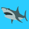 Shark vector illustration , flat style ,profile Royalty Free Stock Photo