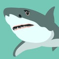 Shark vector illustration flat style profile view Royalty Free Stock Photo