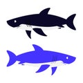 Shark vector illustration.