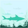 Shark vector silhouette