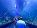 The shark viewing tunnel at Seaworld in Orlando, Florida