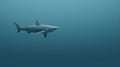 Eerily Realistic Minimalist Shark Art On Blue Background