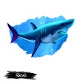 Shark in water realistic design isolated on white background digital art illustration. Underwater dangerous fish, marine predator Royalty Free Stock Photo