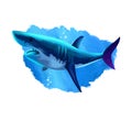 Shark in water realistic design isolated on white background digital art illustration. Underwater dangerous fish, marine predator Royalty Free Stock Photo