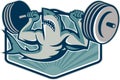 Shark Weightlifter Lifting Weights Mascot