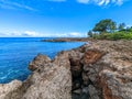 sharks cve snorkeling beach oahu hawaii Royalty Free Stock Photo