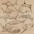 Sharks - An hand drawn pack Royalty Free Stock Photo