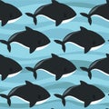 Colorful seamless pattern with sharks. Decorative cute background with fishes. Marine illustration